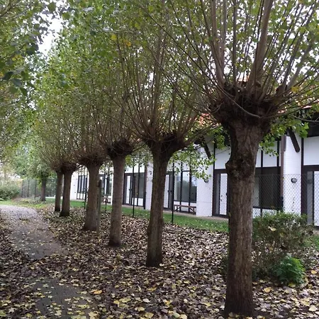 Vakantiewoning Kaviaar Casa vacanze